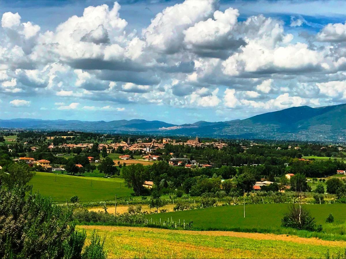 Appartamenti Verde Collina Umbra Bevagna Eksteriør billede