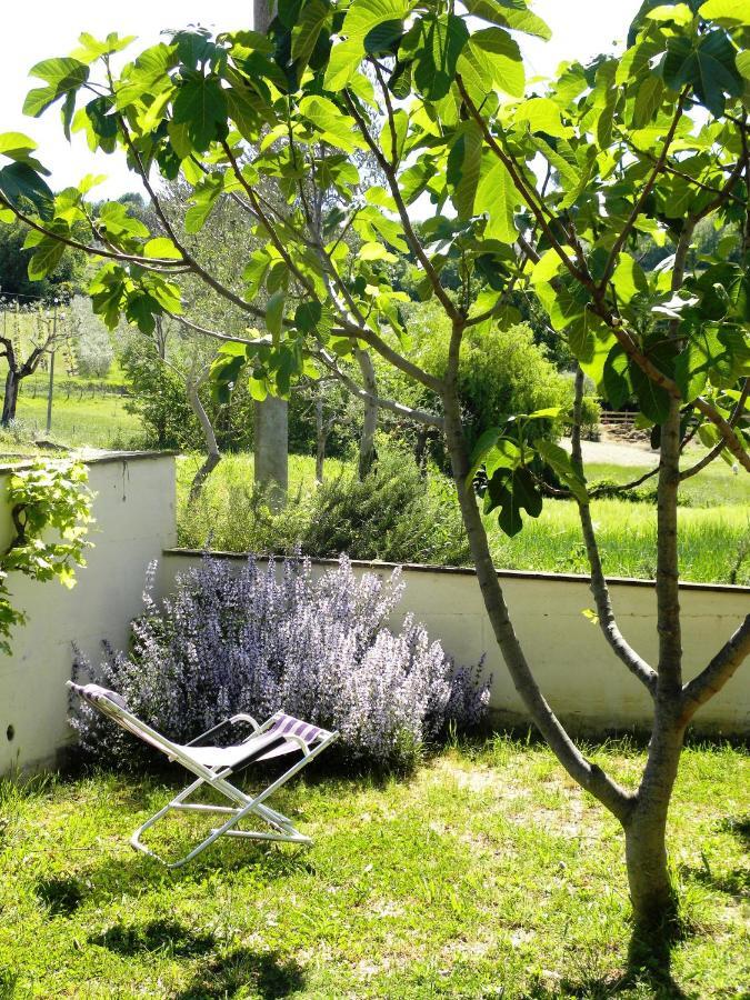 Appartamenti Verde Collina Umbra Bevagna Eksteriør billede